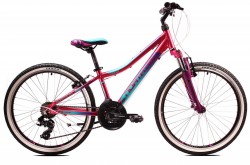 ROWER NORTHTEC RAIDO 24 VB 