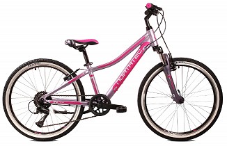 ROWER NORTHTEC RAIDO 24 VB 